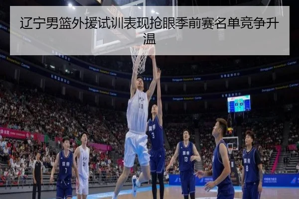 辽宁男篮外援试训表现抢眼季前赛名单竞争升温