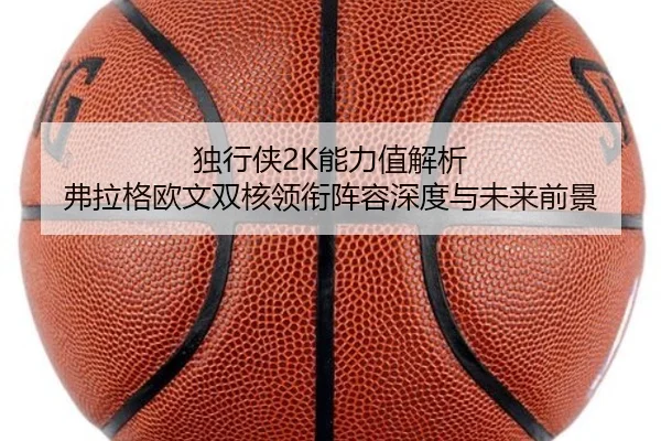 独行侠2K能力值解析 弗拉格欧文双核领衔阵容深度与未来前景